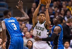 包含奥兰多魔术训练开放日；关键时刻完成体检引欢呼；CBA常规赛在即；球队文化再被提及的词条